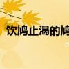 饮鸠止渴的鸠是什么 饮鸩止渴中鸩是什么？