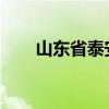 山东省泰安市经济适用房的申请条件
