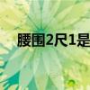 腰围2尺1是多少厘米 2尺1的腰围是多大