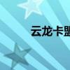 云龙卡盟(关于云龙卡盟的介绍) 云龙卡盟(关于云龙卡盟的介绍)