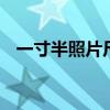 一寸半照片尺寸 证件照一寸半是多少厘米