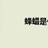 蜂蜡是什么(蜂蜡是什么形成的) 蜂蜡是什么(蜂蜡是什么形成的)