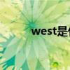 west是什么意思(Alice什么意思)