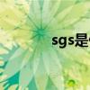 sgs是什么意思(sgs测试机构)