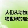 人们从动物身上得到的启示 生命最可贵：动物世界的启示