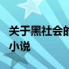 关于黑社会的小说 5本高质量好口碑的黑道流小说