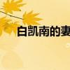 白凯南的妻子(白凯南·杨净如婚礼视频)