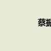 蔡振国(田秀英夫妇照片)