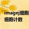 imagej细胞计数 快速树突棘密度分析方法及细胞计数