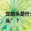 龙抬头是什么意思啊 二月二为什么叫“龙抬头”？