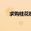 求购桂花树 哪里有厂家在收购鲜桂花