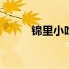 锦里小吃 去锦里必吃的十大美食
