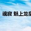 魂寂 魅上龙皇（关于魂寂 魅上龙皇的介绍）