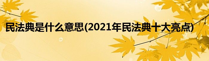 民法典是什么意思(2021年民法典十大亮点)