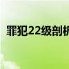 罪犯22级剖析（关于罪犯22级剖析的介绍）