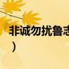非诚勿扰鲁志焰（关于非诚勿扰鲁志焰的介绍）
