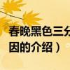 春晚黑色三分钟原因（关于春晚黑色三分钟原因的介绍）