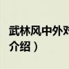 武林风中外对抗赛（关于武林风中外对抗赛的介绍）