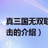 真三国无双联合突击（关于真三国无双联合突击的介绍）