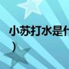 小苏打水是什么（关于小苏打水是什么的介绍）