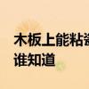 木板上能粘瓷砖吗 木门上皮可粘在瓷砖上吗 谁知道 木板上能粘瓷砖吗 木门上皮可粘在瓷砖上吗 谁知道