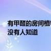 有甲醛的房间植物能活吗 室内有甲醛植物能活几天之内 有没有人知道 