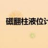 磁翻柱液位计（关于磁翻柱液位计的介绍）