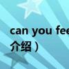 can you feel my（关于can you feel my的介绍）
