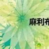 麻利布（关于麻利布的介绍）