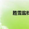 胜雪盐栈（关于胜雪盐栈的介绍）