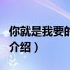 你就是我要的幸福（关于你就是我要的幸福的介绍）