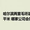 哈尔滨两室毛坯装修需要多少钱 哈尔滨毛坯房装修多少钱一平米 哪家公司会好点 哈尔滨两室毛坯装修需要多少钱 哈尔滨毛坯房装修多少钱一平米 哪家公司会好点