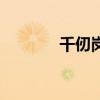 千仞岗（关于千仞岗的介绍）