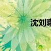 沈刘曦（关于沈刘曦的介绍）