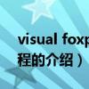 visual foxpro教程（关于visual foxpro教程的介绍）