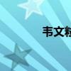 韦文粒（关于韦文粒的介绍）