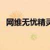 网维无忧精灵（关于网维无忧精灵的介绍）