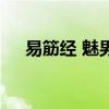 易筋经 魅男（关于易筋经 魅男的介绍）