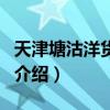 天津塘沽洋货市场（关于天津塘沽洋货市场的介绍）