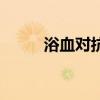 浴血对抗（关于浴血对抗的介绍）