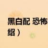 黑白配 恐怖小说（关于黑白配 恐怖小说的介绍）