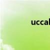 uccall（关于uccall的介绍）
