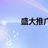 盛大推广（关于盛大推广的介绍）