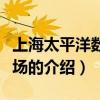 上海太平洋数码广场（关于上海太平洋数码广场的介绍）
