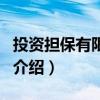 投资担保有限公司（关于投资担保有限公司的介绍）