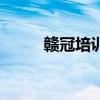 赣冠培训（关于赣冠培训的介绍）