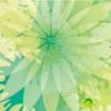 测试瑞虎5手动挡