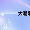 大嘴泉（关于大嘴泉的介绍）