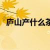 庐山产什么茶（关于庐山产什么茶的介绍）