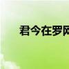 君今在罗网（关于君今在罗网的介绍）